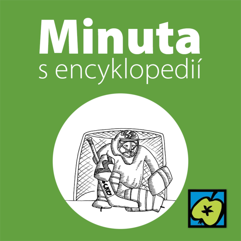 Obrázek epizody Lední hokej