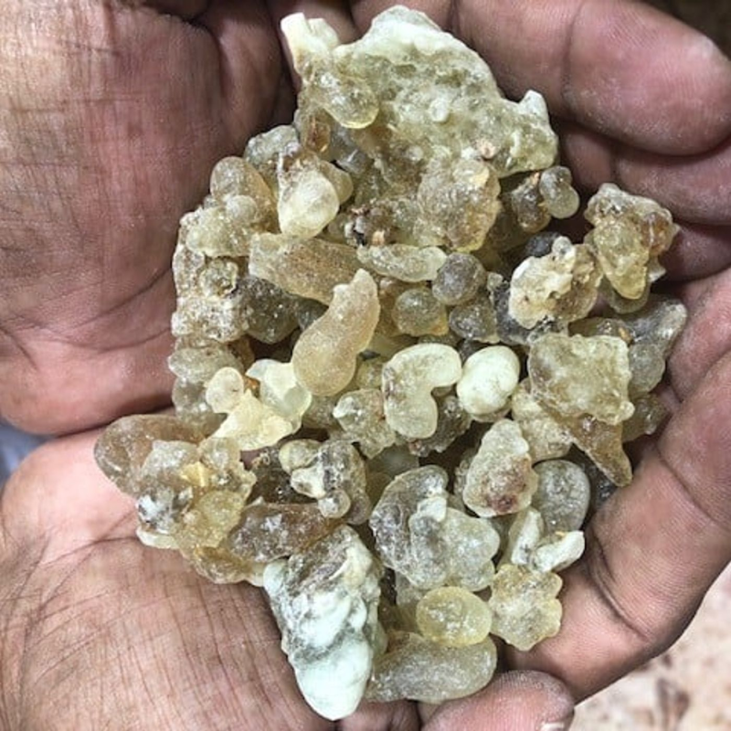 Obrázek epizody Ešus 7/6/2021: Pavla a kadidlo