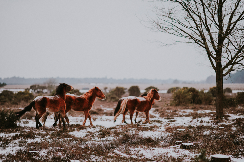 Obrázek epizody Proměny ochrany přírody II