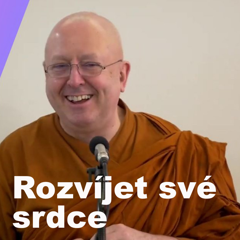 Obrázek epizody Rozvíjet své srdce ♥️ | Ajahn Brahm | 2.12.2016