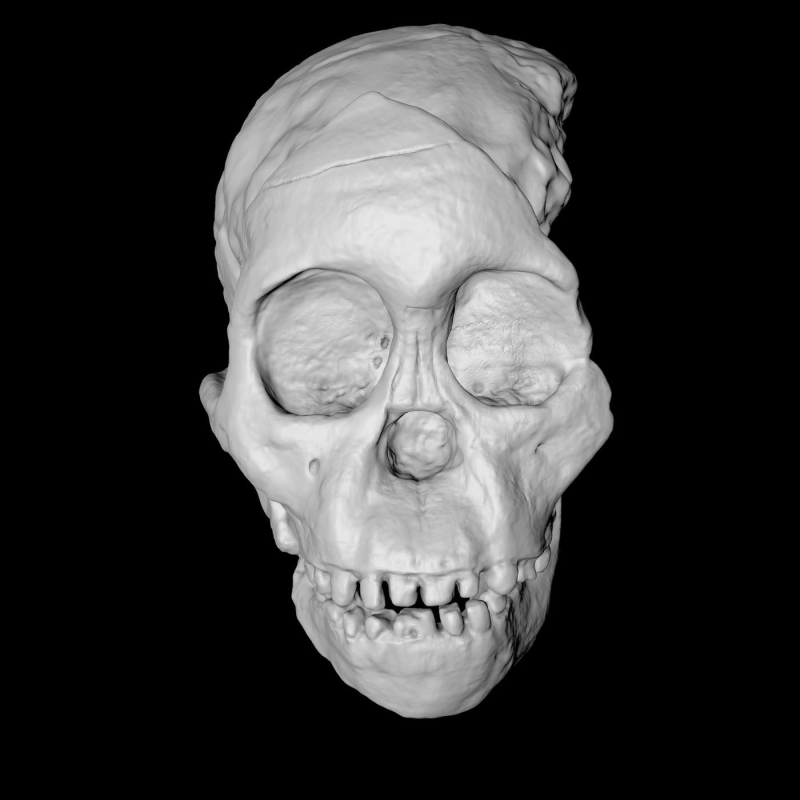 Obrázek epizody The Skull