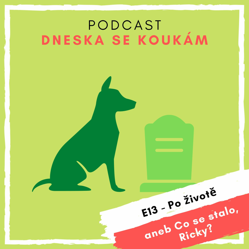 Obrázek epizody E13 – Po životě aneb Co se stalo, Ricky?