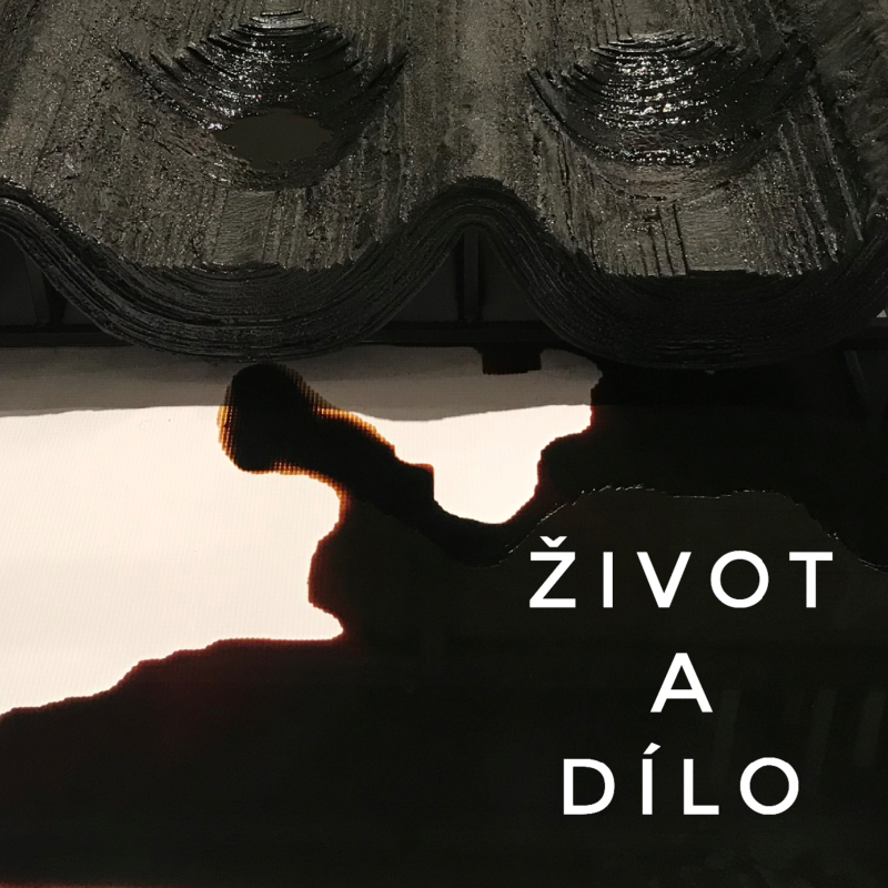 Obrázek epizody SABINA FALCMANOVÁ: V ropě se zrcadlí naše doba