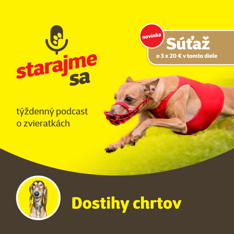 Obrázek epizody Psy: Dostihy chrtov