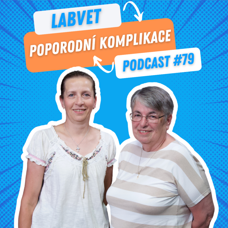 Obrázek epizody 👩⚕️Poporodní komplikace👩⚕️| Labvet Podcast #79