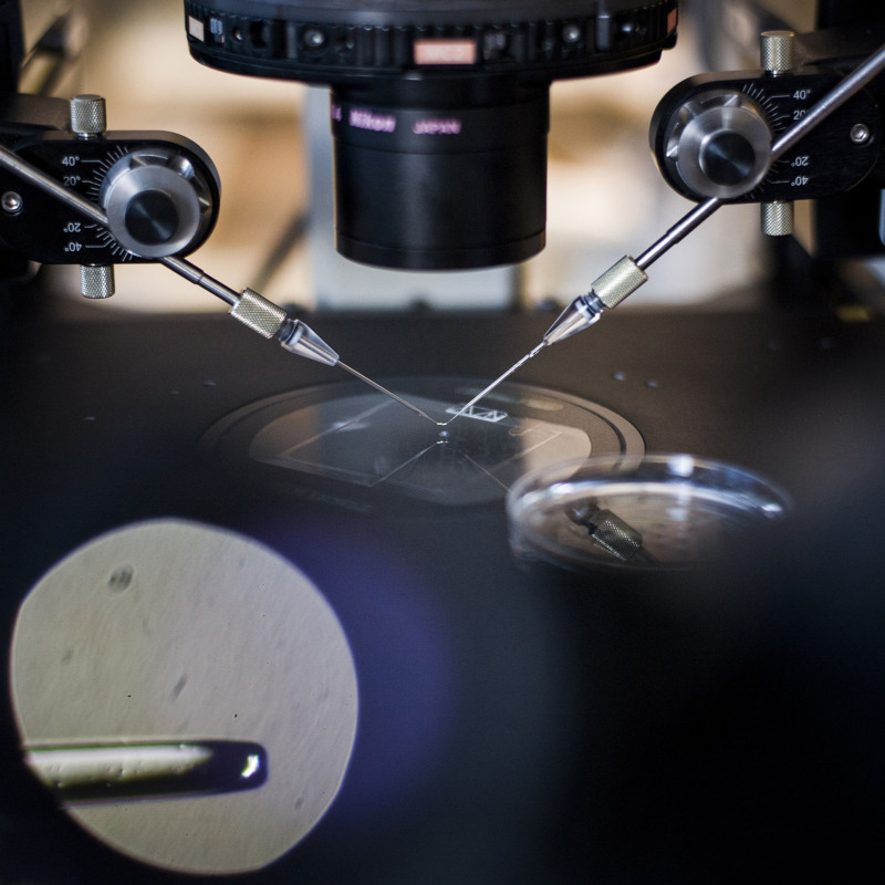 Obrázek epizody Norimberské zákony, Nicki Minaj i hejteři Pekarové Adamové. Kdo všechno má co říct k neplodnosti?