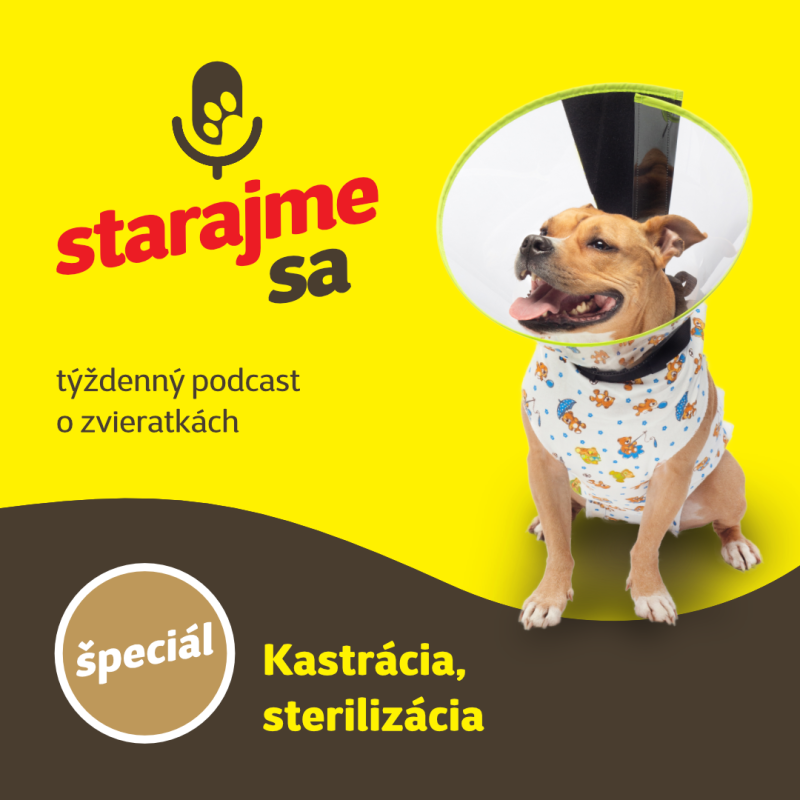 Obrázek epizody Špeciál: Kastrácia, sterilizácia