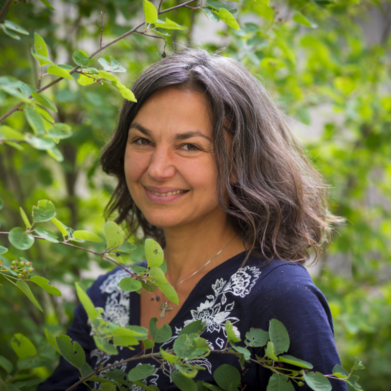 Obrázek epizody Hanka Zemanová - Bio vaření a stravování