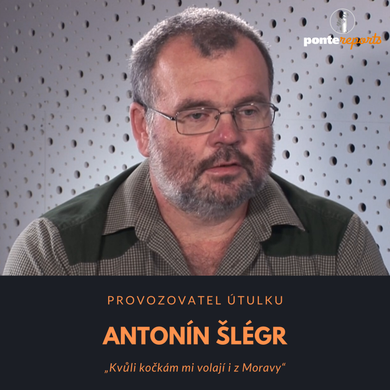 Obrázek epizody Antonín Šlégr – provozovatel útulku: Kvůli kočkám mi volají i z Moravy