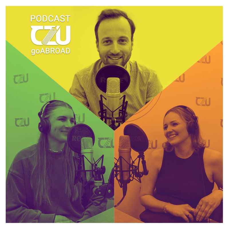 Obrázek epizody |50| Téčka z Tiimi na Tripech