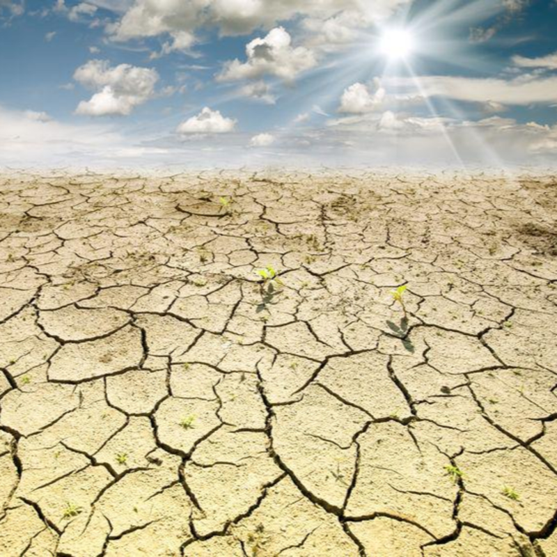 Obrázek epizody #samispolu – Ochutnávka z básní Radka Štěpánka