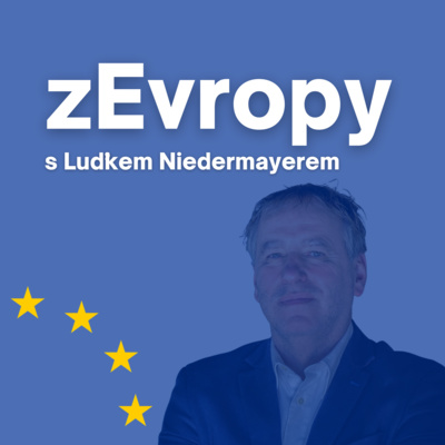 Obrázek epizody Proč nemáme euro s Luďkem Niedermayerem