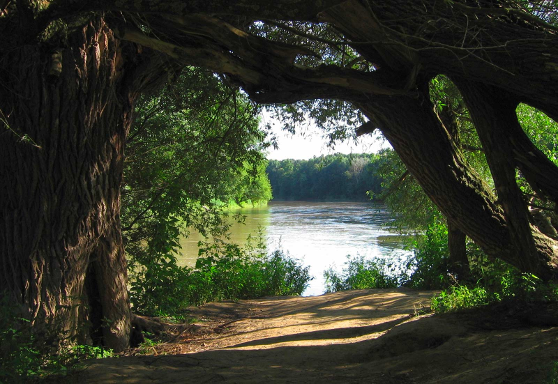 Obrázek epizody CHKO Soutok: pozdě, ale přece