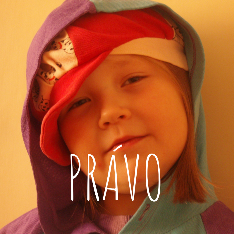 Obrázek epizody Ústavní právo