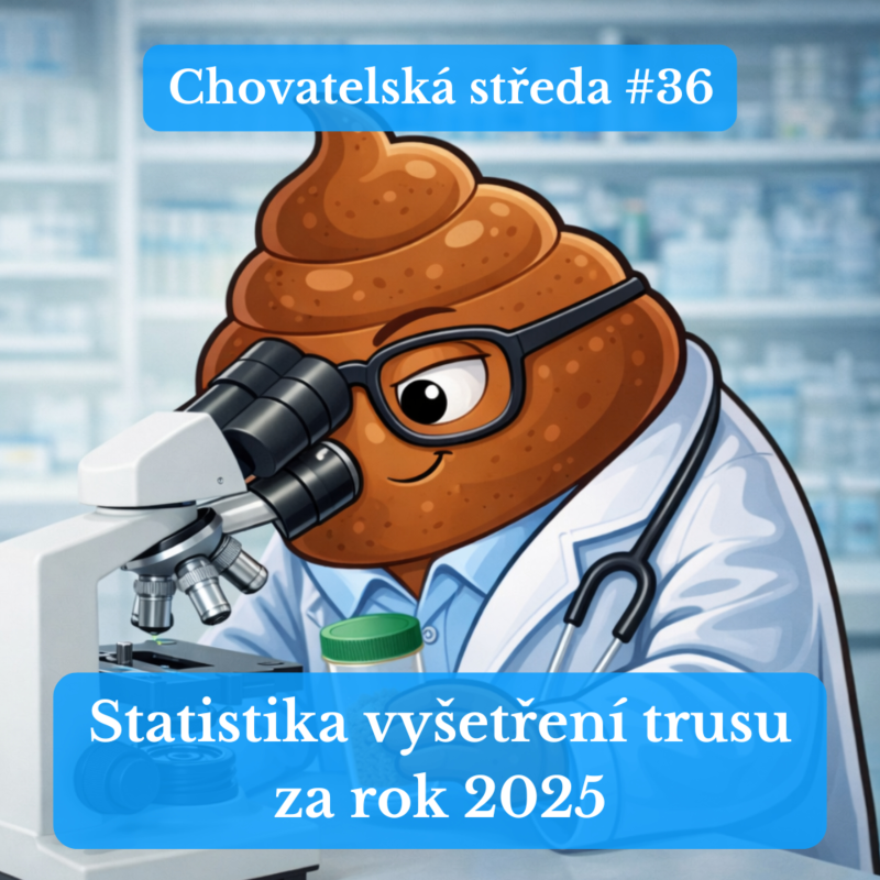 Obrázek epizody 🪱 Proč NEMÁ SMYSL psa naslepo ODČERVOVAT? 🪱 | Chovatelská středa #36