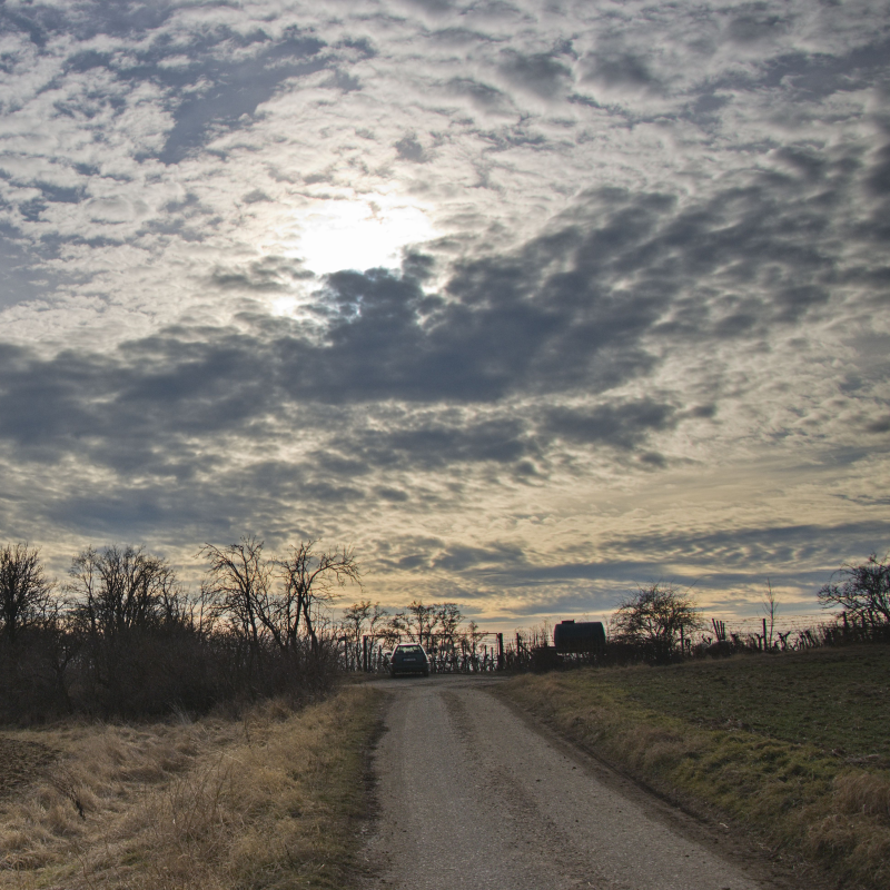 Obrázek epizody Poutník po starých stezkách 3: cesty nebo stezky?