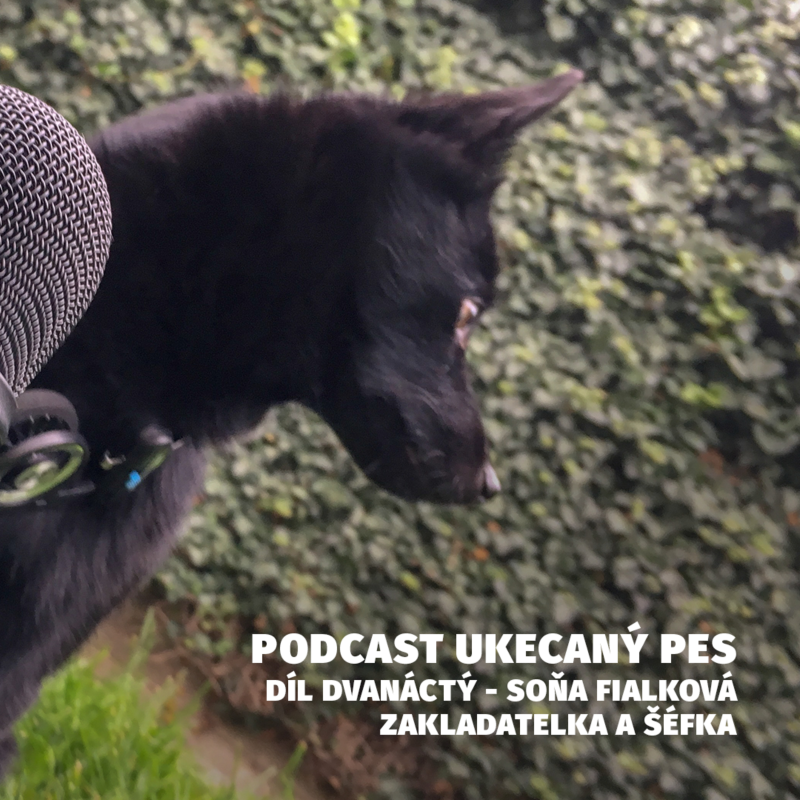 Obrázek epizody Rozhovor se Soňou Fialkovou, šéfkou Spokojeného Psa