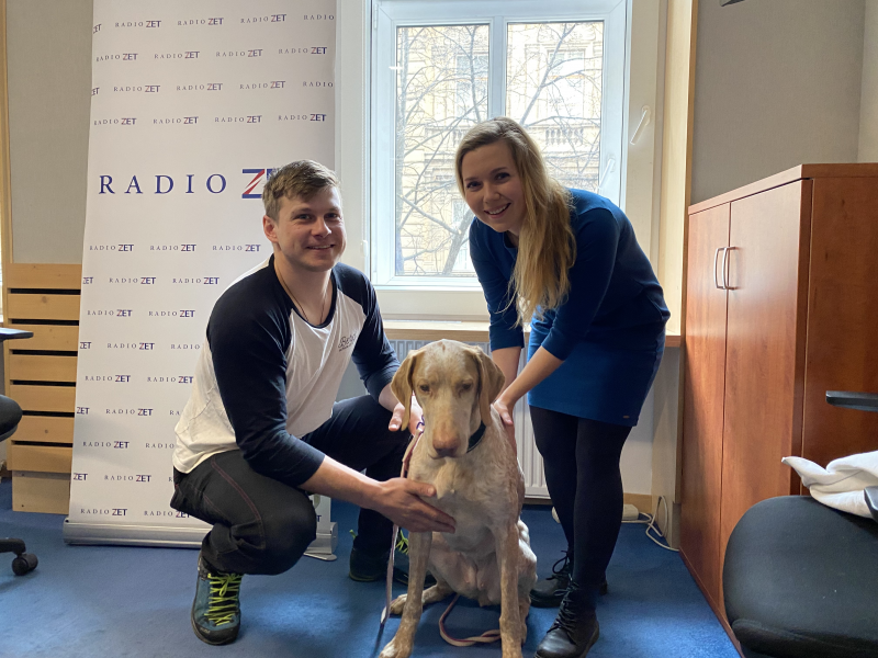 Obrázek epizody Záchranářští psi musí být psychicky i fyzicky odolní, říká musher a hasič Václav Vančura