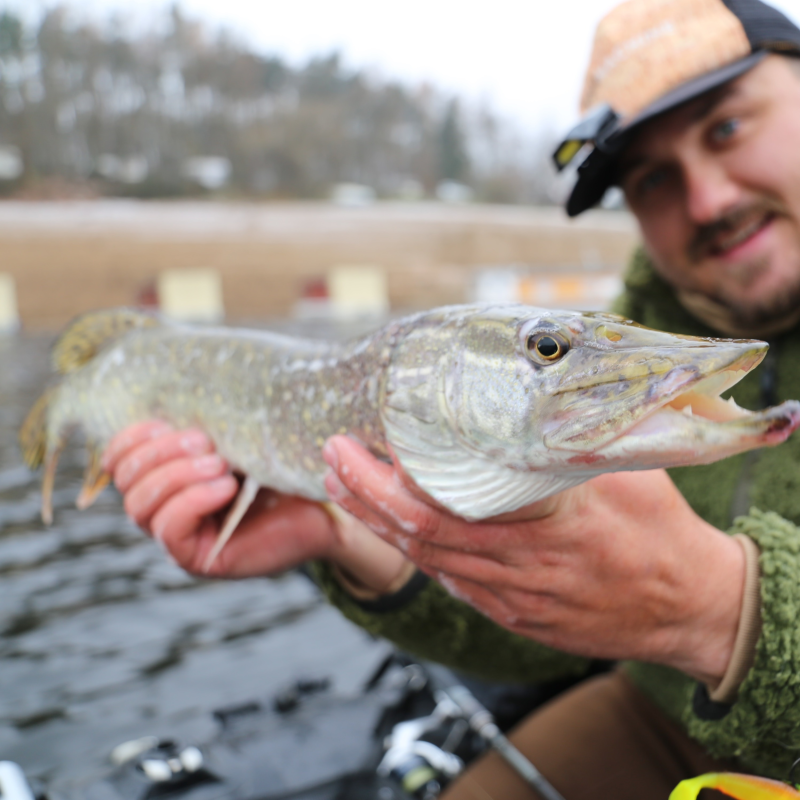 Obrázek epizody Základní principy k ulovení štiky