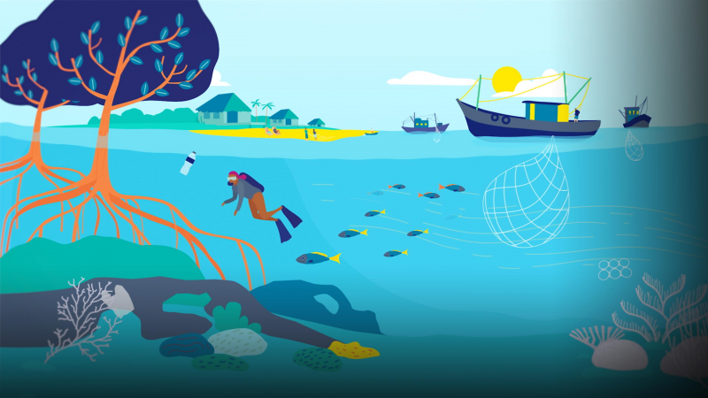 Obrázek epizody An ingenious proposal for scaling up marine protection | The Nature Conservancy
