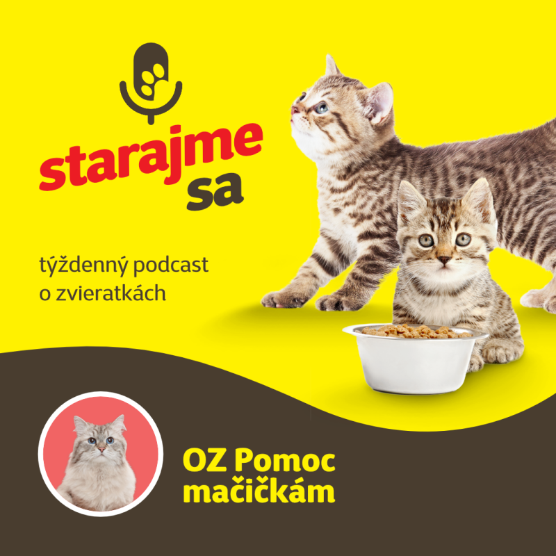 Obrázek epizody Mačky: OZ Pomoc mačičkám