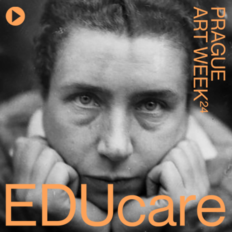 Obrázek epizody S3 Ep1: EDUcare: Jan Tichý o Lucii Moholy