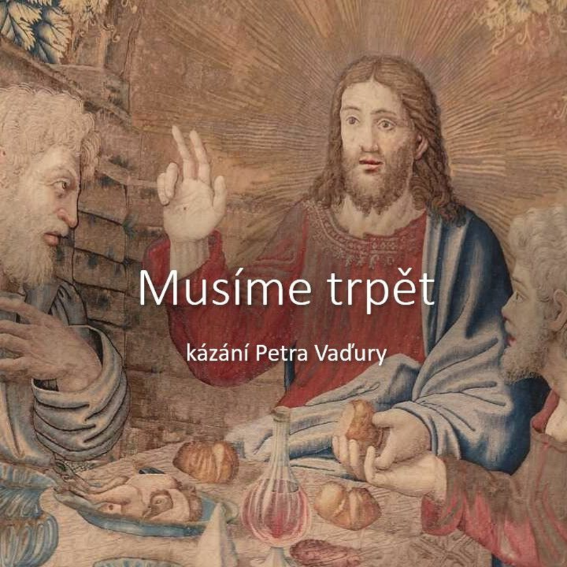 Obrázek epizody Musíme trpět - Petr Vaďura