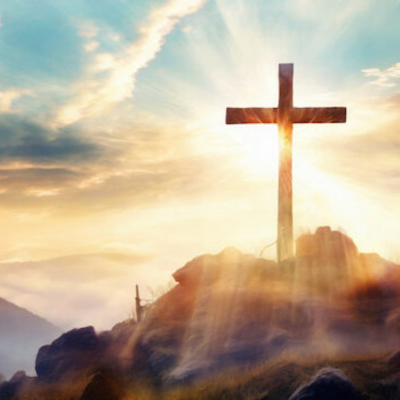 Obrázek epizody Mladá žena vyléčená z endometriózy.