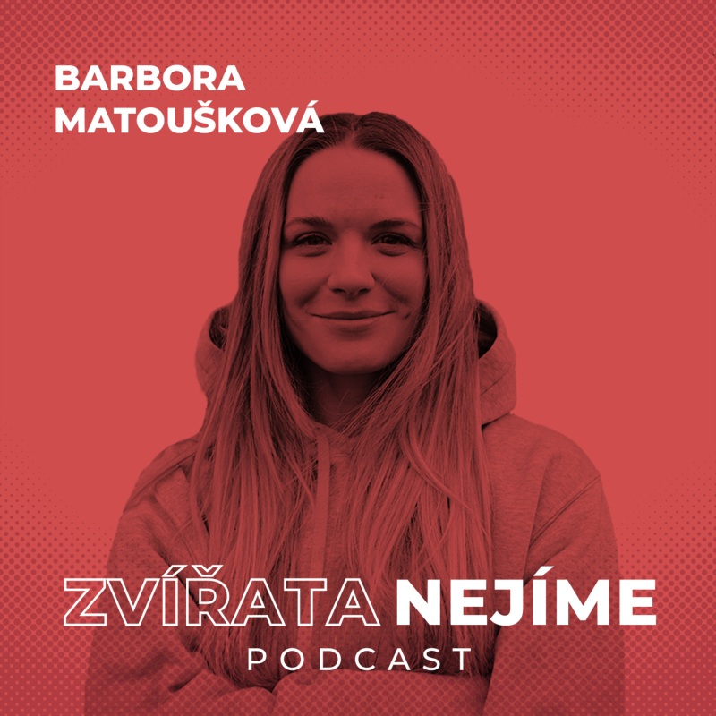 Obrázek epizody Barbora Matoušková: Záchranářka holubů