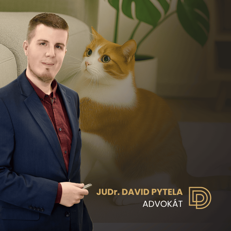 Obrázek epizody 58: Mazlíček nebo pronajímatel: Kdo vyhraje?