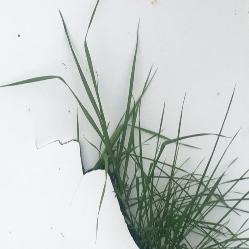 Obrázek epizody Hermina Peričová: Chuchvalce