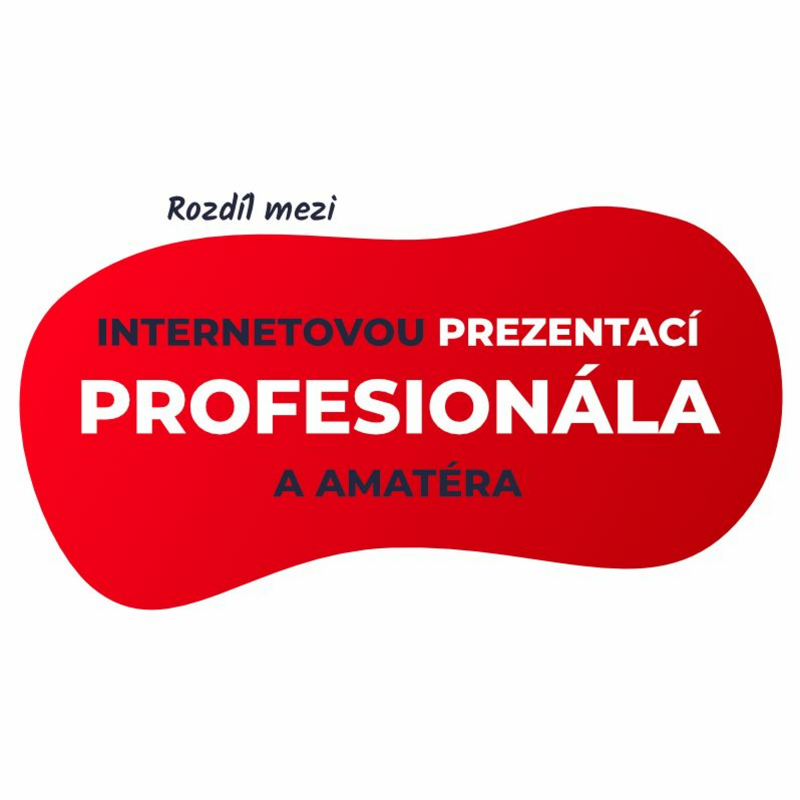 Obrázek epizody Internetová prezentace profesionála