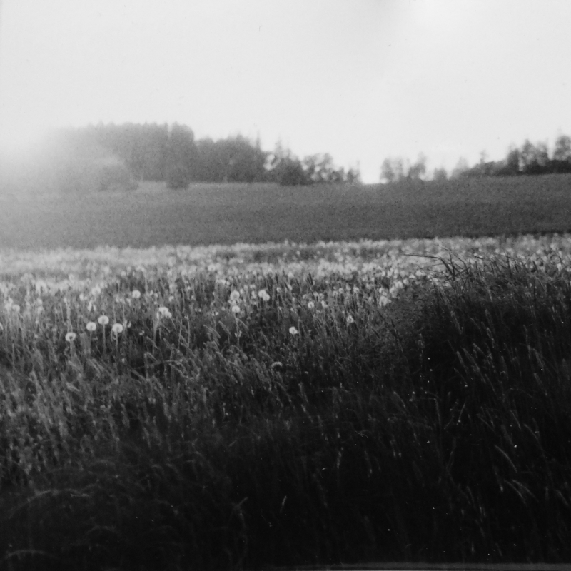 Obrázek epizody Marie Junová: Skrýš