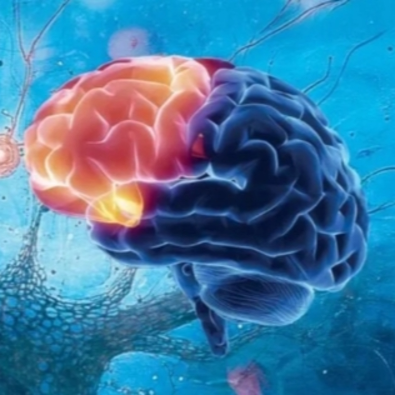 Obrázek epizody Týden mozku 2026: Jak restartovat náš nejsložitější orgán a co mu dnes škodí nejvíce?