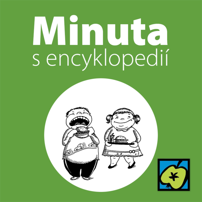 Obrázek epizody Hamburger