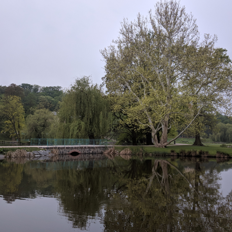 Obrázek epizody Praha, park Stromovka
