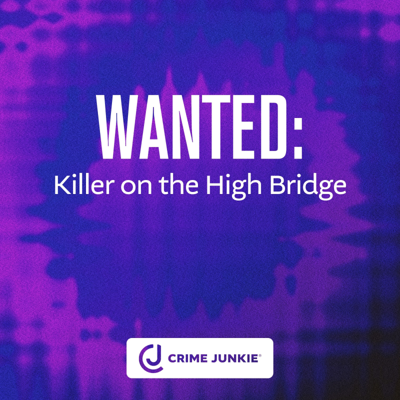 Obrázek epizody WANTED: Killer on the High Bridge
