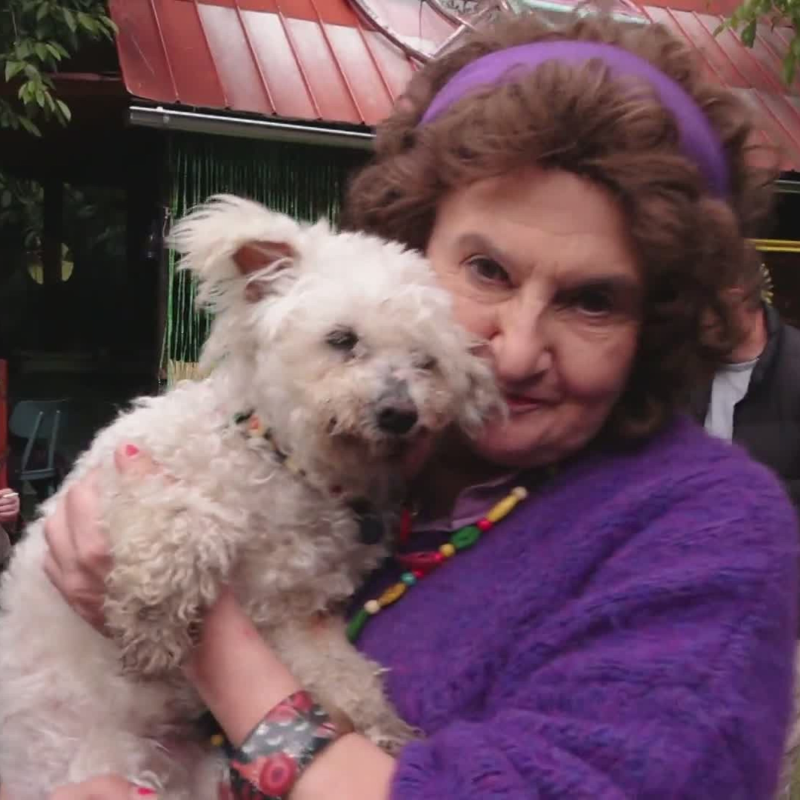 Obrázek epizody Holubová Gump (zdroj: CNN Prima NEWS)