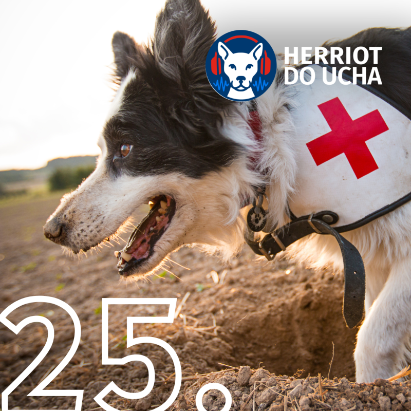 Obrázek epizody #25 🐕🐈⬛ První pomoc u psů a koček: víš, co dělat, když jde do tuhého? - MVDr. Michaela Riedlová