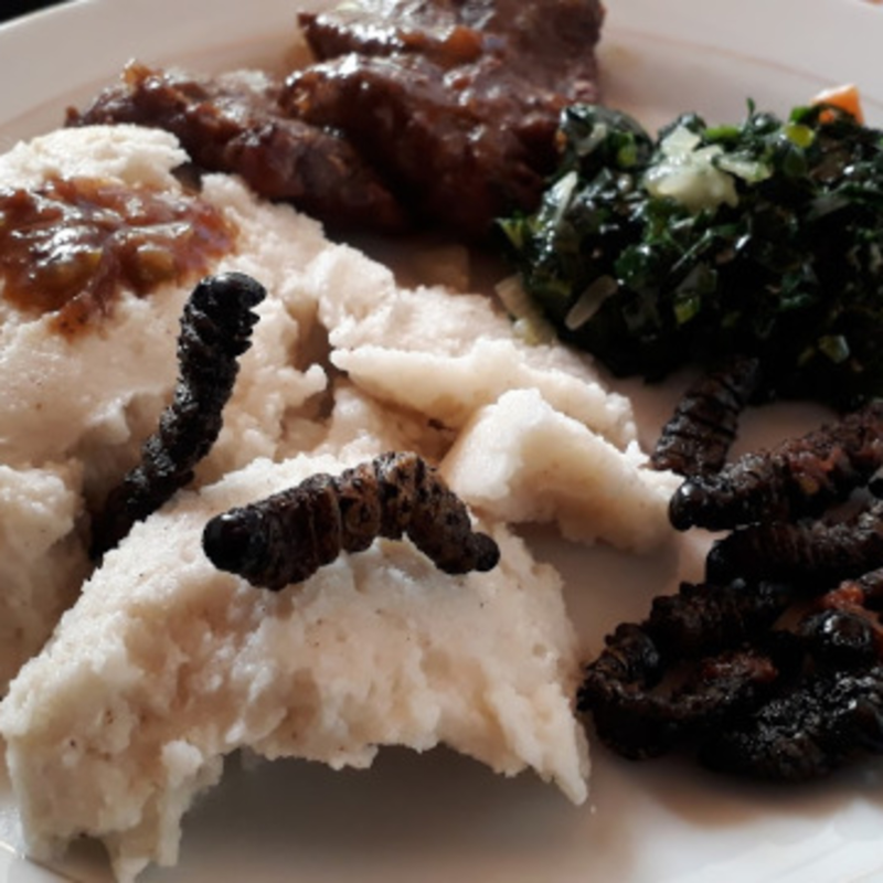 Obrázek epizody Pizza v Zimbabwe?