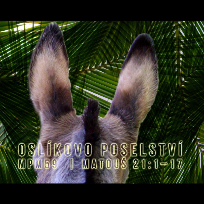Obrázek epizody Mesiáš podle Matouše 59 - Oslíkovo poselství - Bohuslav Wojnar (18.5.2014)