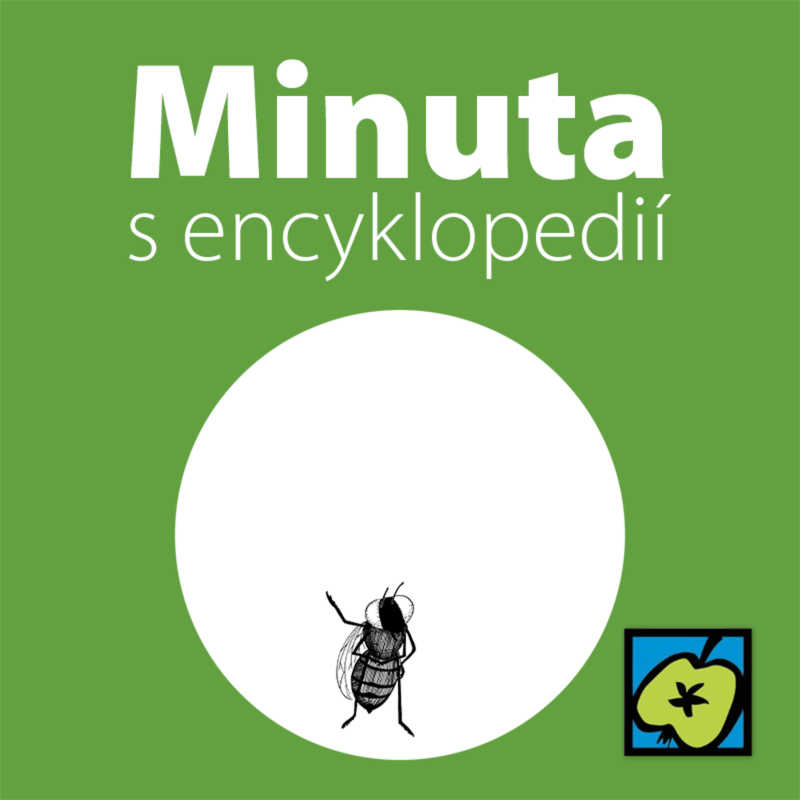 Obrázek epizody Octomilka