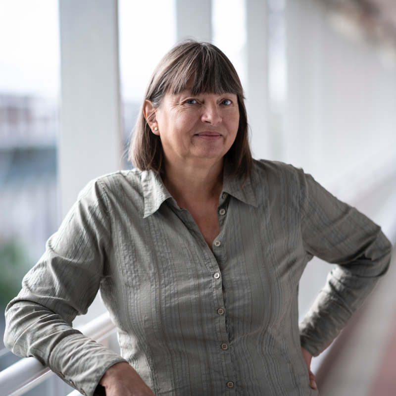 Obrázek epizody Proč se na Fakultě stavební učí i čínština a co je UNIcert