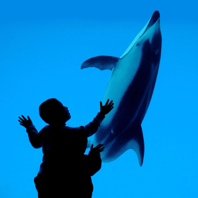 Obrázek epizody Hello