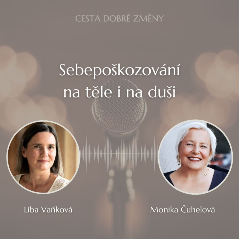 Obrázek epizody Sebepoškozování na těle i na duši - Monika Čuhelová a Líba Vaňková