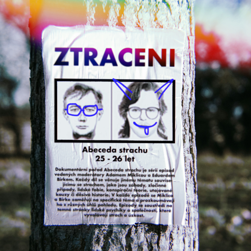 Obrázek epizody ZMIZENÍ LETU MH370 a další PŘÍPADY, které nedávají smysl (Z jako ZTRACENI)