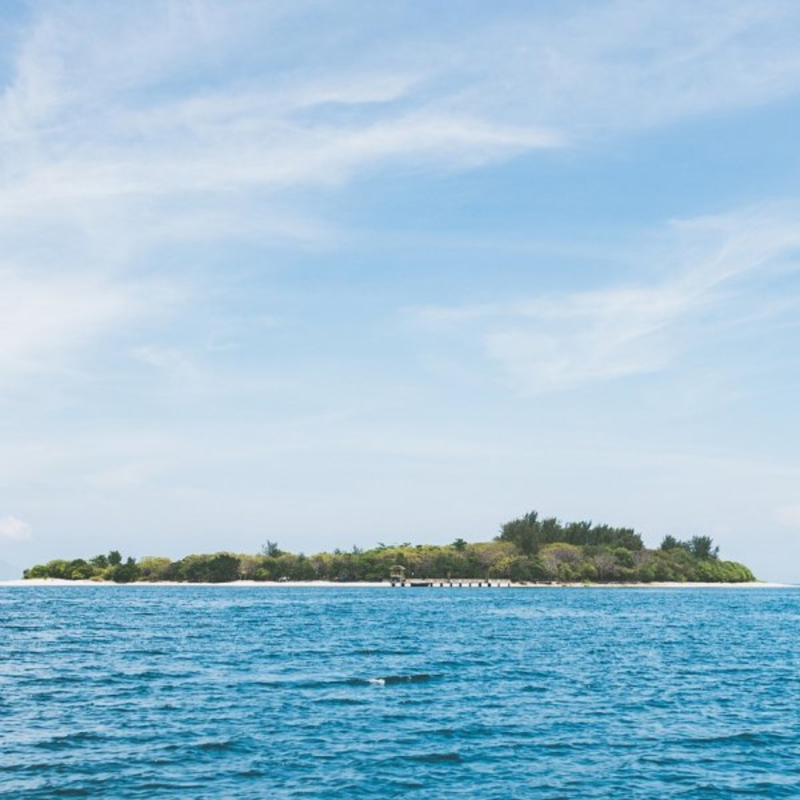 Obrázek epizody Blog 3 ... Záchrana z opuštěného ostrova ... Proč je obtížné, i když ne nemožné, uniknout ze sevření psychického manipulátora? Co hrozí, když se to nepodaří? Co je prvním krokem k osvobození?