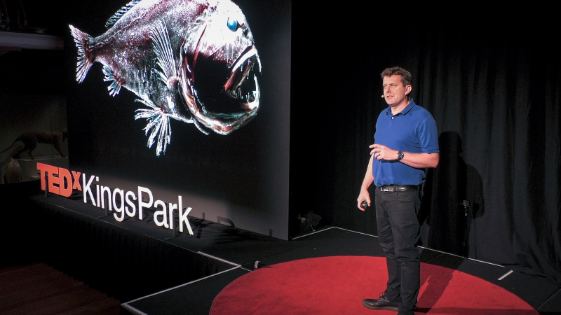 Obrázek epizody Meet the mysterious "monsters" of the deep sea | Alan Jamieson