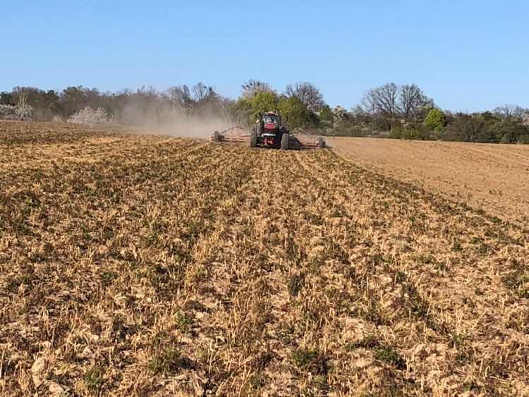 Obrázek epizody Pěstování kukuřice seté v hrůbcích