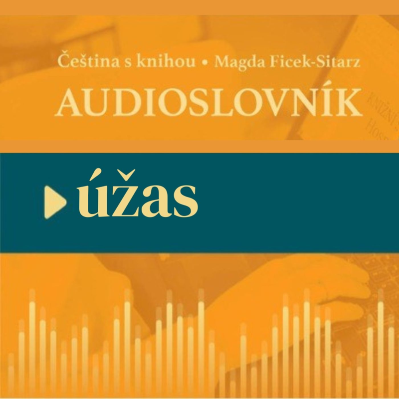 Obrázek epizody 28: Audiosłownik. Chcesz zamówić po czesku sok? Użyj tego zdania.